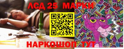 амф Сланцы