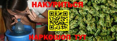 амф Сланцы