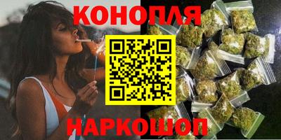 амф Сланцы