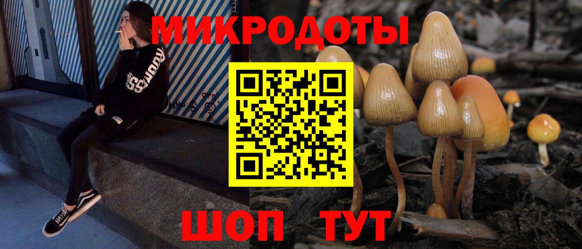 Галлюциногенные грибы Magic Shrooms  Вход с VPN  Галлюциногенные грибы GOLDEN TEACHER  Отрадный 